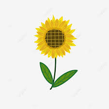 Pola dekoratif kartun bunga matahari png grafik gambar unduh. Gambar Kartun Tanaman Bunga Matahari Yang Digambar Tangan Kartun Lukisan Tangan Bunga Matahari Png Transparan Clipart Dan File Psd Untuk Unduh Gratis
