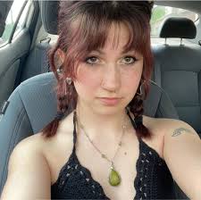 What are some good vegan restaurants in the Waterloo Region?