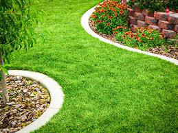 We exterminate ants, cockroaches, spiders. Professional Lawn Care Regal Pest Control In Ocala The Villages