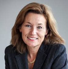 Nackamoderaternas styrelse 2013