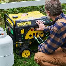 Check spelling or type a new query. Best Portable Generators 2021 Home Generator Reviews
