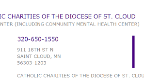 1780711341 Npi Number Catholic Charities Of The Diocese Of St Cloud Saint Cloud Mn Npi Registry Medical Coding Library Www Hipaaspace Com C 2021