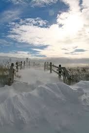 Your Beach Photos National Geographic Beach Path Beach Photos Stone Harbor