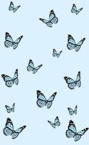 7,000+ vectors, stock photos & psd files. Blue Butterflies Blue Butterfly Wallpaper Butterfly Background Blue Wallpaper Iphone