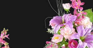 9:00 am to 5:00 pm. Epicure Flowers Florist In Miami Beach Fl Flower Delivery Epicure Flowers