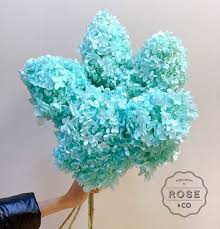 .roses preserved hydrangea flowers branches,eternal rose forever hydrangeas with pole stems preserved flowers bouquet bridesmaid preservative skirt fb large preserved rose flowers hot search. Preserved Hydrangea Aqua Blue Colour Rose Co