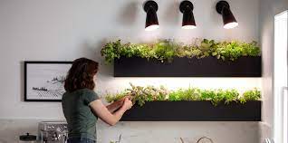 ( 4.8 ) stars out of 5 stars 256 ratings , based on 256 reviews Ge Grow Light Led 32w Balanced Light Spectrum Par38 Light Bulb 1 Pack