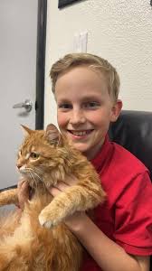 Prayers urgently needed for my sweet nephew, Kingston, who was rushed to  the hospital with high blood sugar ( 400), may in fact be diabetic, and has  Mono! He is not doing