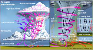 În mod curent, termenul are mai ales o conotație medicală deși metodele anatomiei sunt aplicabile pentru orice organism pluricelular. Meteorologicke Prvky A Jejich Klimatologicke Charakteristiky Klimatologie A Hydrogeografie Pro Ucitele Pedagogicka Fakulta Masarykovy Univerzity