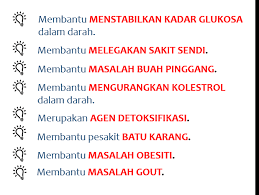 Kaedah menggunakan daun misai kucing untuk merawat penyakit tersebut agak mudah. Polens Pilihan Terbaik Untuk Kesihatan Anda Polens Teh Misai Kucing