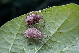 Natalia parish of leaked as new, she settled my nerves