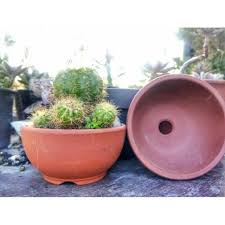 If you need succulents for your private events like parties or weddings, we will be here to assist. Japanese Terracota Pots Shopee Philippines