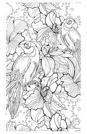 Printable bird coloring pages for adults. Coloring Pages For Adults Parrot Printable Free To Download Jpg Pdf