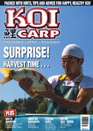 About press copyright contact us creators advertise developers terms privacy policy & safety how youtube works test new features press copyright contact us creators. Issue 245 Koi Carp Magazine By Koi Carp Issuu