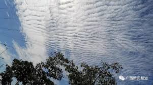 58:54 yyes13467980 recommended for you. å¤šåç½'å‹ç§°æ‹åˆ° åœ°éœ‡äº' æ²¡æœ‰åŠç‚¹å…³ç³»