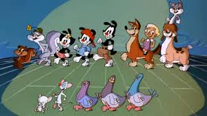 The theme song to the popular cartoon is called pinky and the brain performed by jess harnell,dorian harewood, jim cummings and rob paulsen. Hulu S Animaniacs Reboot To Include New Theme Song Den Of Geek