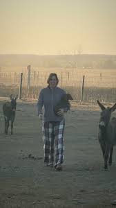 We got us a new four wheel drive racing donk, #whoabay, #donkey , #race