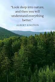 Inspirational Quote On Nature Video Nature Photography Quotes Nature Quotes Nature Lover Quotes