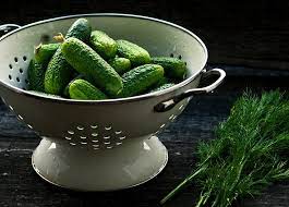 The Difference Between Sour And Dill Pickles Explained Pickle Wiki