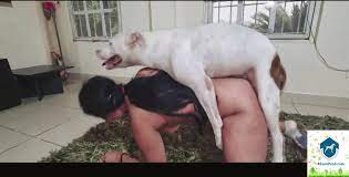 Zoofilias ❤️ Best adult photos at hentainudes.com
