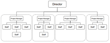 implementation of pmo