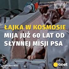 Jeżeli znasz inne definicje pasujące do hasła „łajka możesz dodać je za pomocą formularza znajdującego się w zakładce dodaj nowy.pamiętaj, aby definicje były krótkie i trafne. Onet Lajka W Kosmosie Ponura Historia Slynnego Misji Facebook