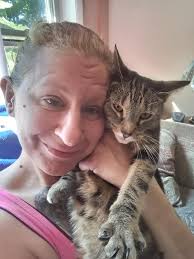 Annoying cat behavior: knocking over drinks