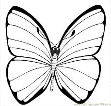 In this species of butterflies, the edges of the wings differ in color from their inner part. Pin On Church