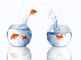 If relationships is grayed out, your workbook contains only one table. Write An Application For Job Transfer From One Place To Another Assignment Point