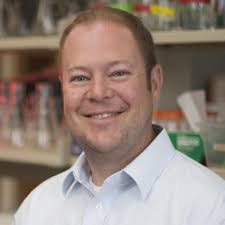 Kaitlin A. Read (@kreadlikeabook)