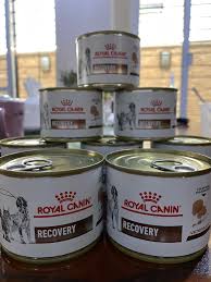 On average, american journey dry dog food is 48.20% cheaper than royal canin. Royal Canin Recovery Pet Supplies Pet Food On Carousell