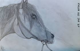 Dieren Leren Tekenen Leren Kijken En Gebruik Potlood Technieken Gemaakt Door Meisje Van 13 Jaar Leer Tekenen Dieren Tekenen