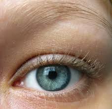 Schönes mädchen in lila kleid mit lila blumen. Schminkschule Blaues Abend Make Up Innenaussen