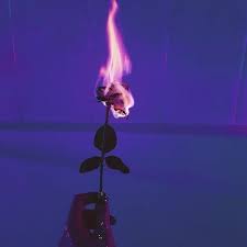 I will try my best to do it, i may or ma. Neon Purple Aesthetic Flowers Novocom Top