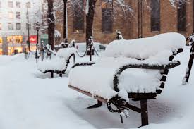 Fireboy is a male character of the series. Visitoslo On Twitter All Of Oslo Is Covered In Snow Today Skiing Conditions On The Opera House Roof Are Pretty Good Snowday Winterwonderland Visitoslo Https T Co Rrgcwrsobi