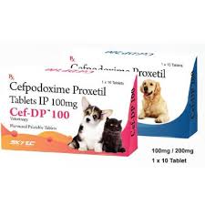 Cef Dp 100 Mg 200 Mg Tablet The Veterinary Medicine