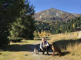 wanderung mit hund auf den zirbitzkogel hundstage wanderung hunde tag wandern osterreich
