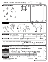 And (3) the libon scale. Moca Test English Recall Memory Epistemology