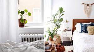 Dans une chambre, comme dans toute la maison, on peut mettre des plantes dépolluantes, comme le lierre, le philodendron et le ficus. Quelles Plantes Choisir Pour La Deco De Sa Chambre M6 Deco Fr