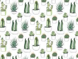Cactus with christmas light garland. Cactus Design By Crumpetsandcrabsticks On Tumblr Watercolor Cactus Plant Drawing Cacti Succulents
