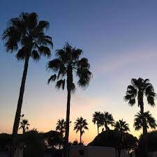 Bbilder posted a topic in mali oglasi. Fotografieren Tipps So Gelingen Schone Bilder Mit Dem Handy Bayern 1 Radio Br De