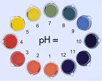 Image result for ‫اسید و باز‬‎