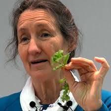 Dr. Barbara Berkowitz