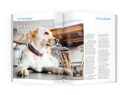 Dergi Magazine Panosundaki Pin