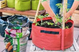 Tomaten Und Paprika In Pflanztaschen Pflanztasche Pflanzen Und Garten
