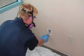 2020 Asbestos Removal Costs Tile Insulation Asbestos Abatement Homeadvisor