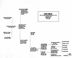 More Ancestors Lineage Chart