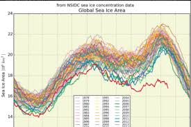 a bleak looking sea ice graph has twitter in a frenzy the