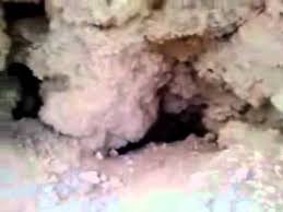 نتيجة بحث الصور عن الآثار صنم في حائل