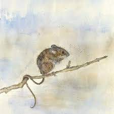 Art Gallery Original Paintings Limited Edition Prints Framing Kate Wyatt Animal Drawings Animal Art Art